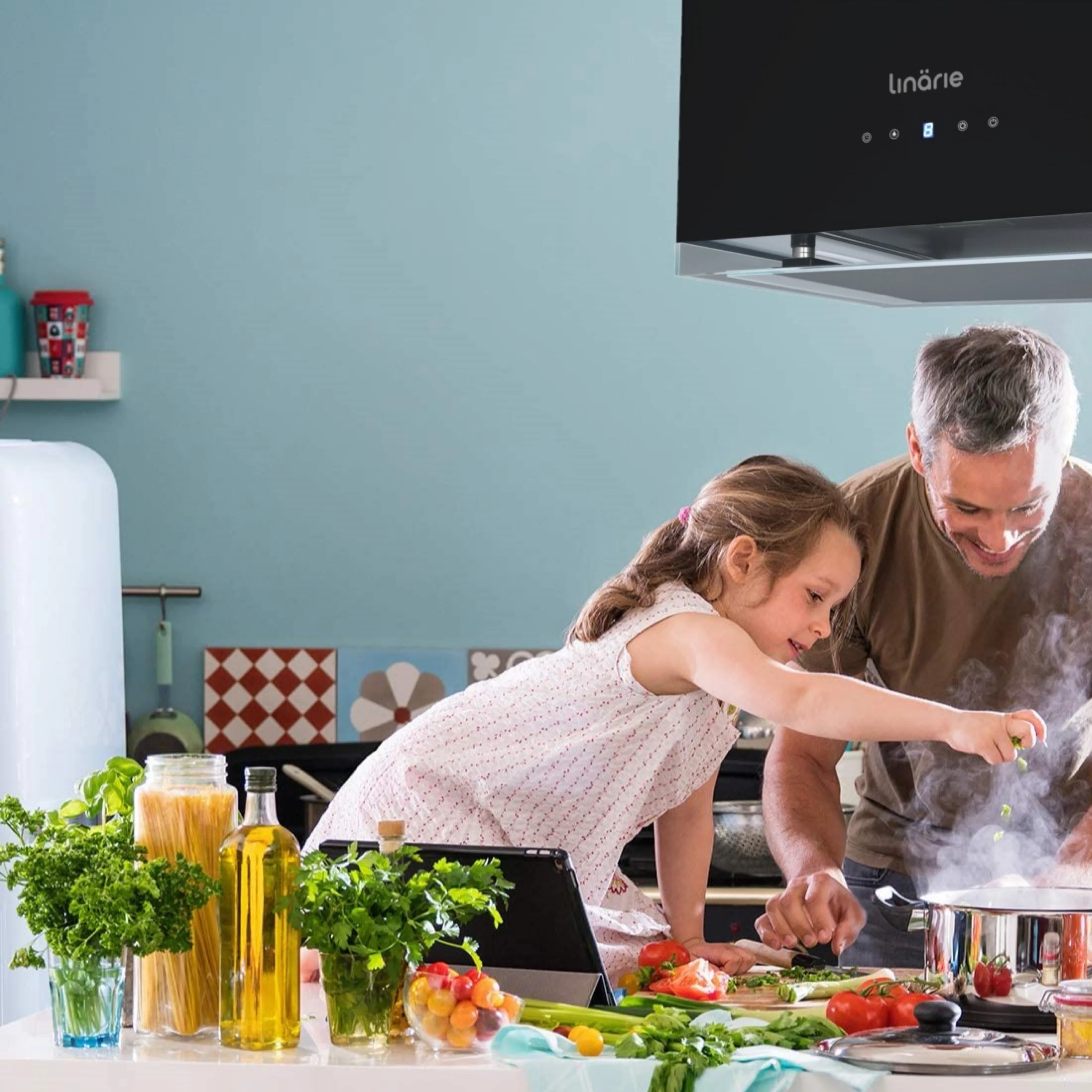 Caledonia 50cm Island Rangehood RAHID50BG - Image 9